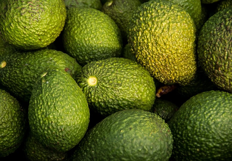 Fresh vegetables